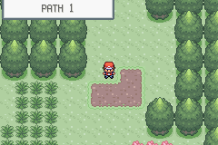 [PokeCommunity.com] Pokemon Police Returns
