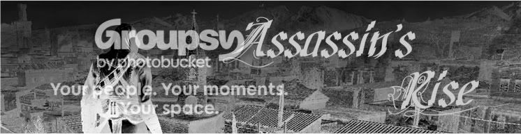 assassins rise banner