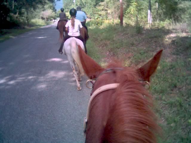 A TRAIL LESSON