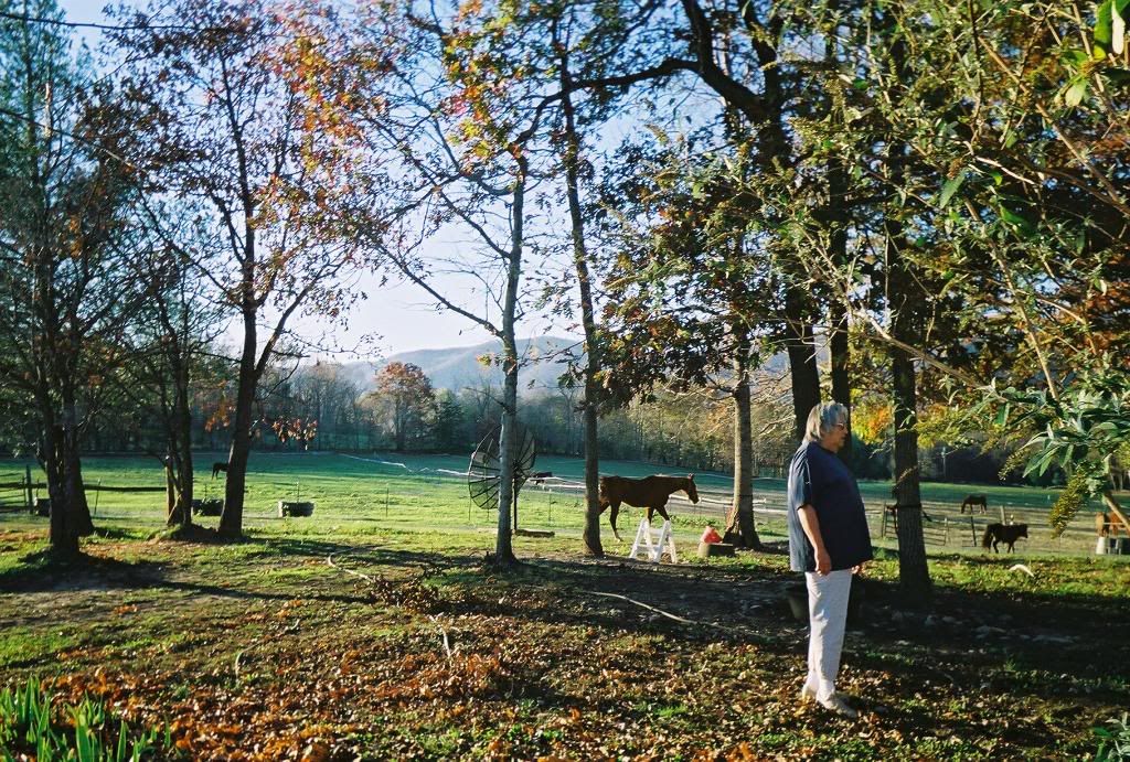 a beautiful Autumn Day at the Blue Ridge Farm