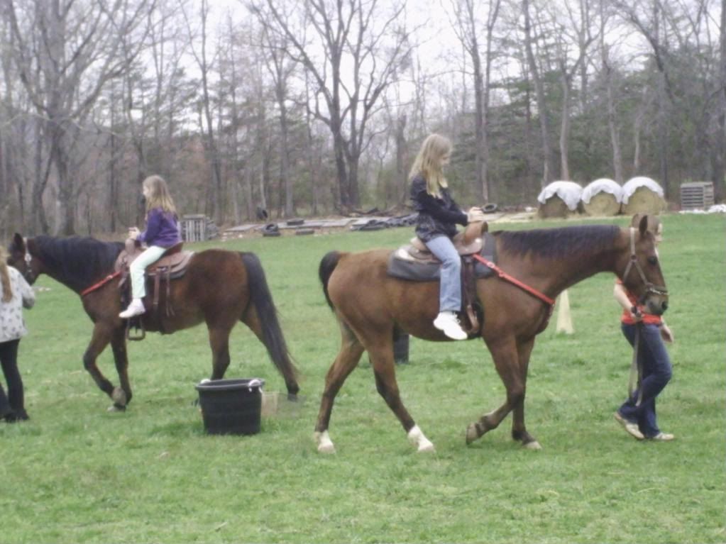 PARTY AT THE BLUE RIDGE FARM