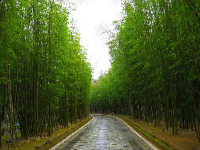 行走雲南系列記事之七 —— 洱海蝴蝶泉三塔 - 迷螢 - 女貞路4號的