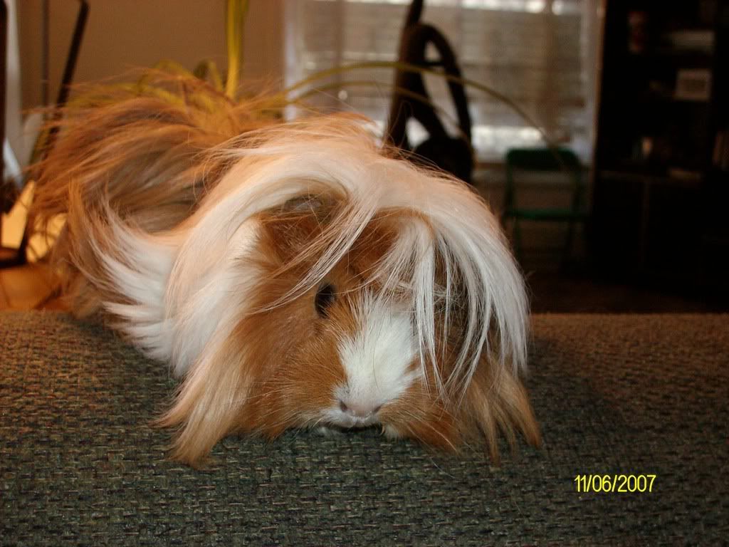 Picture075.jpg
