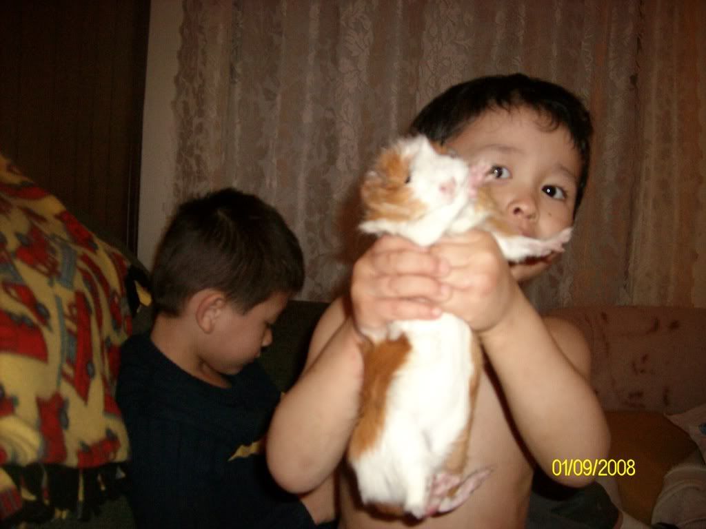 Picture298.jpg