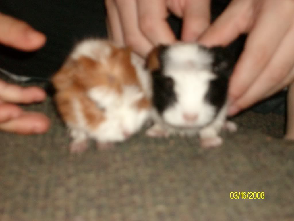Picture326.jpg