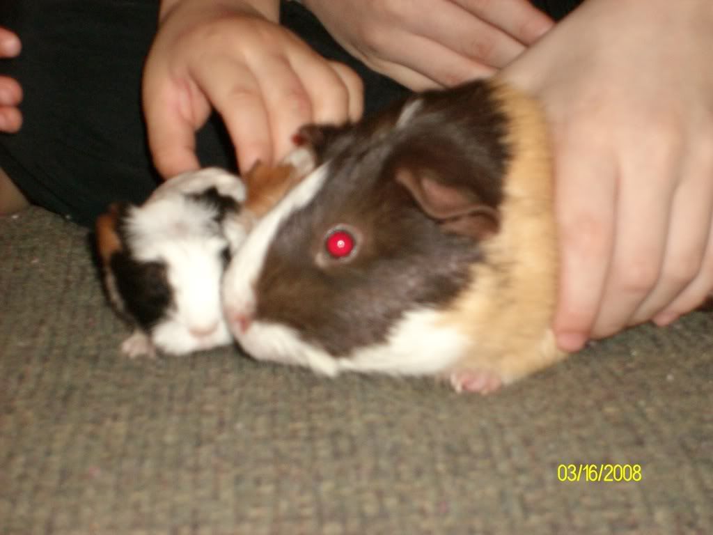 Picture328.jpg