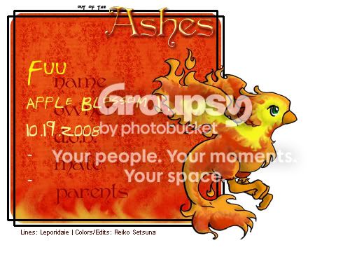 User Image